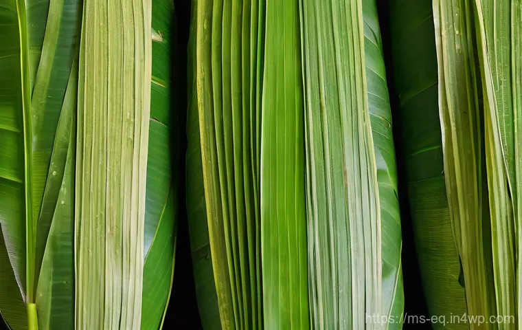 전통 식물성 식재료 보존 기법 - **Prompt 2: Traditional Malay Preserved Delights**
A close-up, high-detail shot on a clean, rust... 전통 식물성 식재료 보존 기법 - **Prompt 2: Traditional Malay Preserved Delights**
A close-up, high-detail shot on a clean, rust...